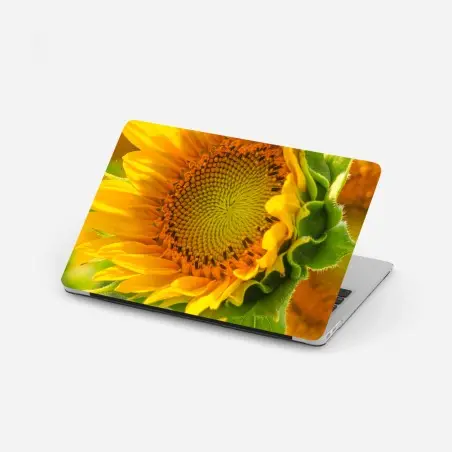 Laptop sticker sunflower bloom close-up • Wallissimo®