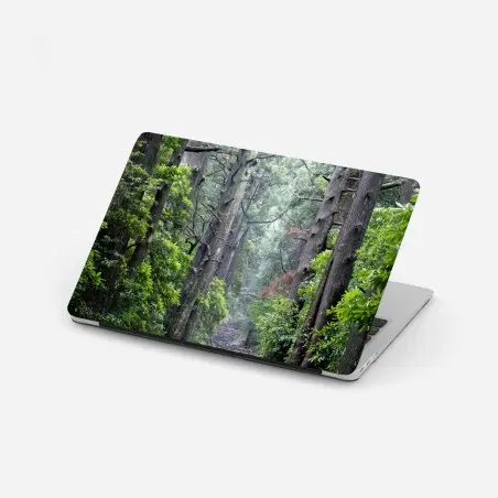 Laptop sticker misty forest path through ancient trees • Wallissimo®