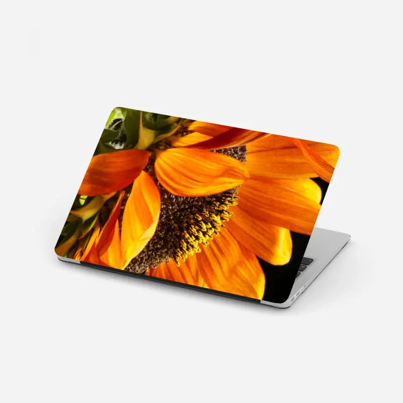 Laptop sticker • Wallissimo®