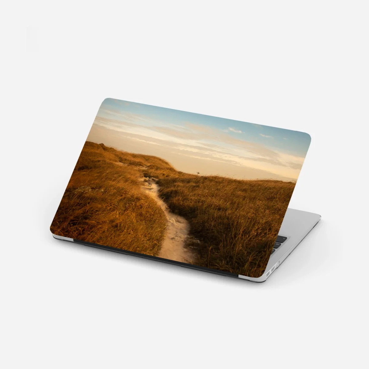 Laptop sticker sunlit dune path to the coast ⁕ Wallissimo® Laptop sticker sunlit dune path to the coast ⁕ Wallissimo®