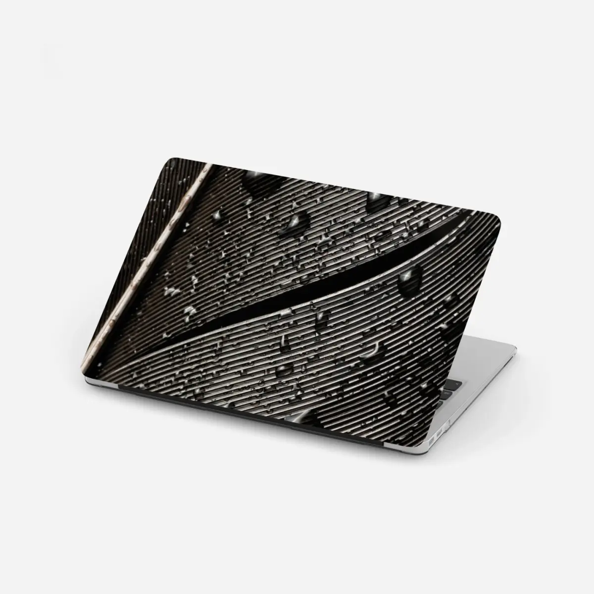 Laptop sticker monochrome feather with water droplets ⁕ Wallissimo® Laptop sticker monochrome feather with water droplets ⁕ Wallissimo®