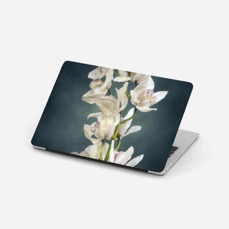 Laptop sticker delicate white orchids on teal background