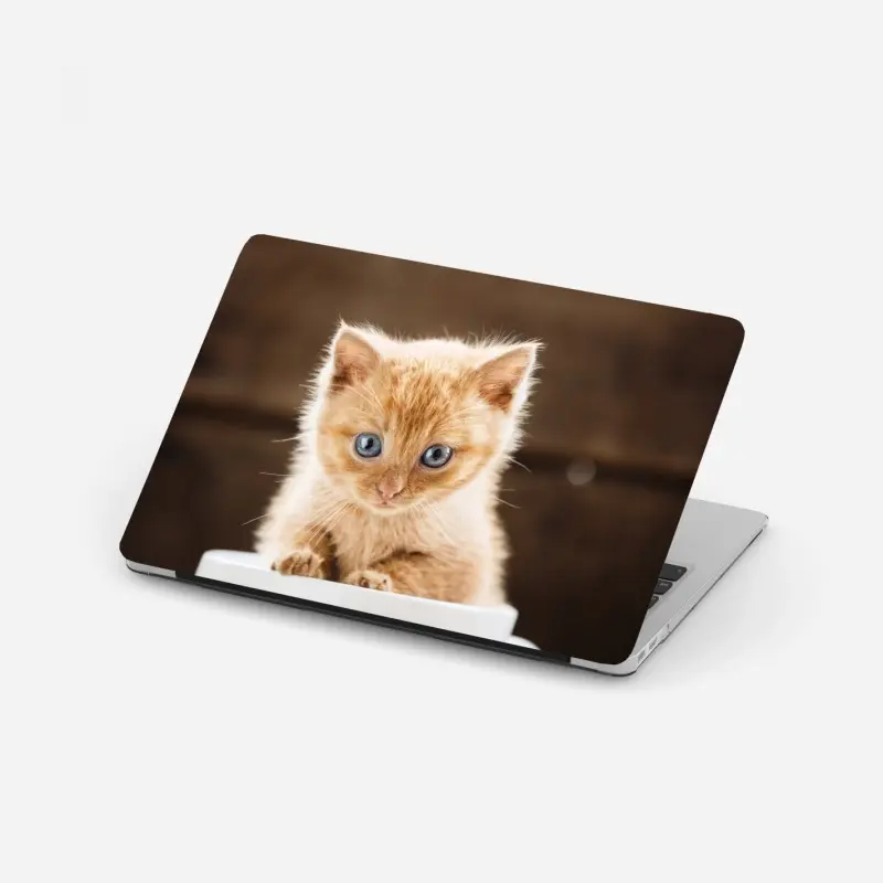 Laptop sticker ginger kitten in a teacup