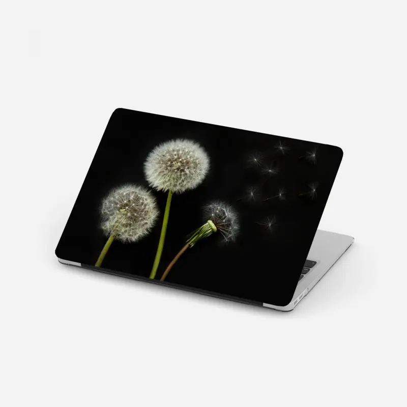 Laptop sticker delicate dandelion seed heads on black background
