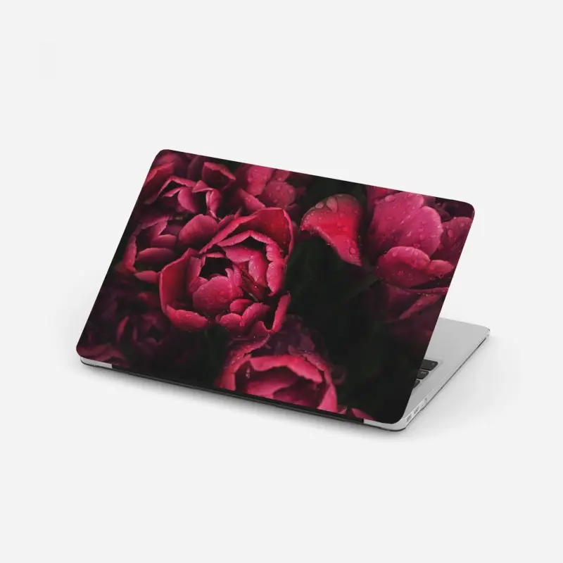 Laptop sticker • Wallissimo®