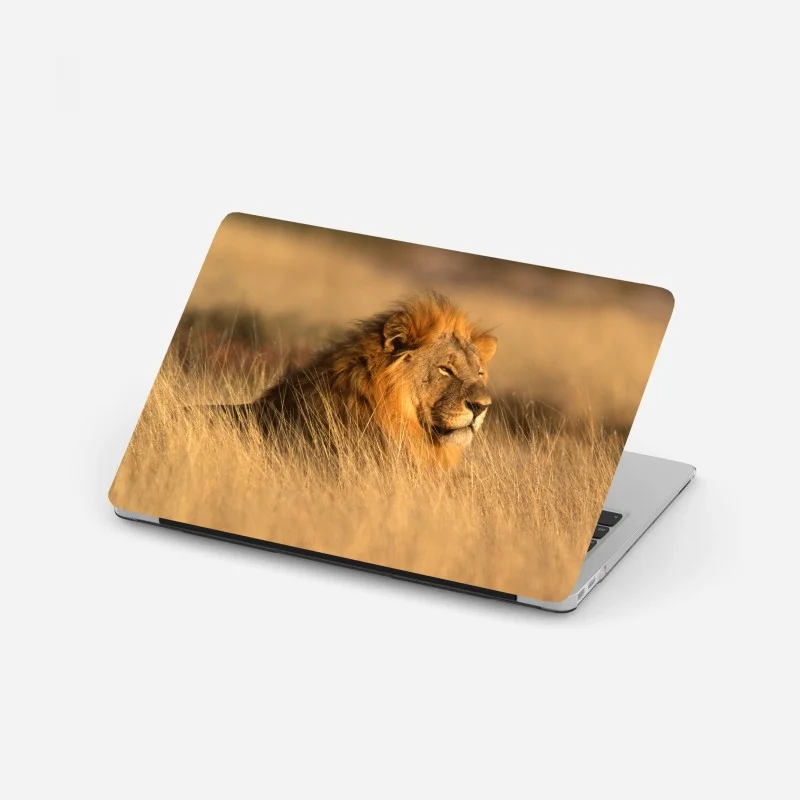 Laptop sticker majestic male lion in tall grass