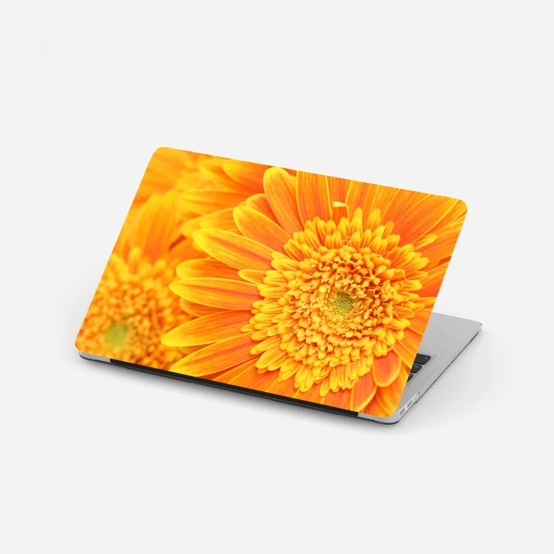 Laptop sticker vibrant orange gerbera close-up