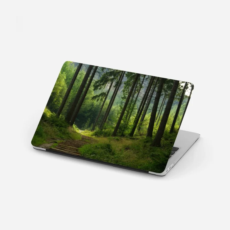 Laptop sticker serene forest trail