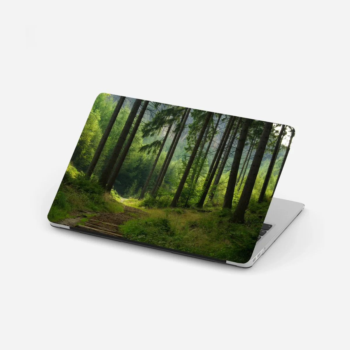 Laptop sticker serene forest trail • Wallissimo® Laptop sticker serene forest trail • Wallissimo®