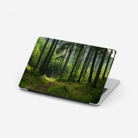 Laptop sticker serene forest trail • Wallissimo®