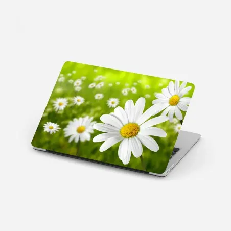 Laptop sticker white daisy meadow • Wallissimo®