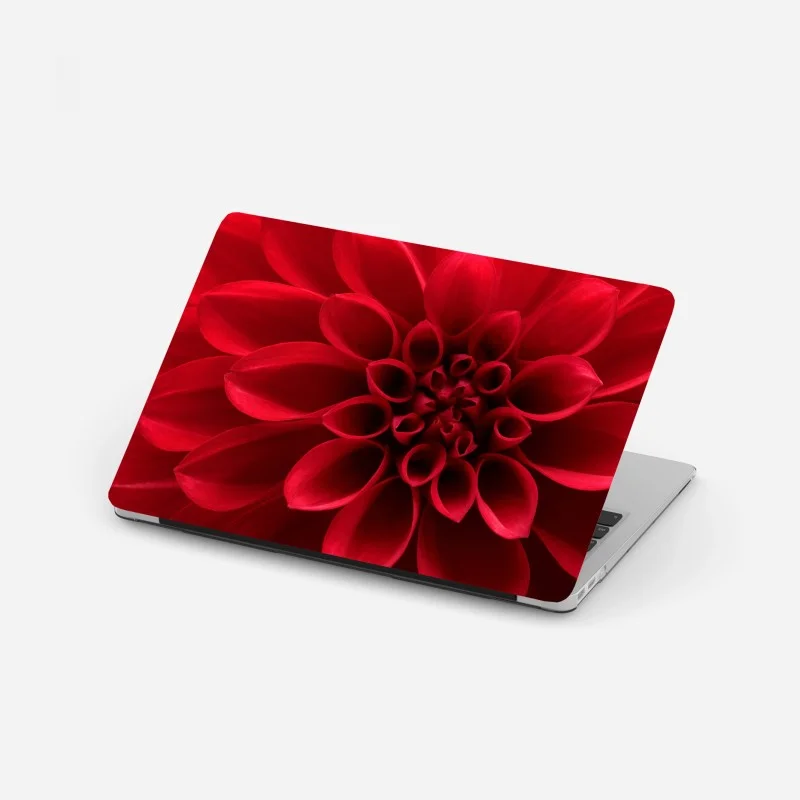 Laptop sticker red dahlia close-up