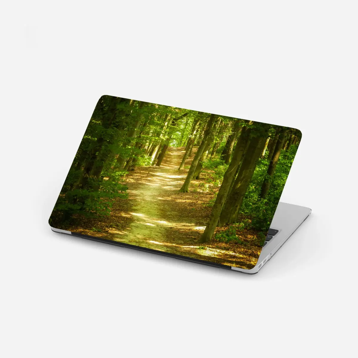 Laptop sticker sunlit forest trail • Wallissimo® Laptop sticker sunlit forest trail • Wallissimo®
