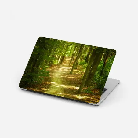 Laptop sticker sunlit forest trail • Wallissimo®