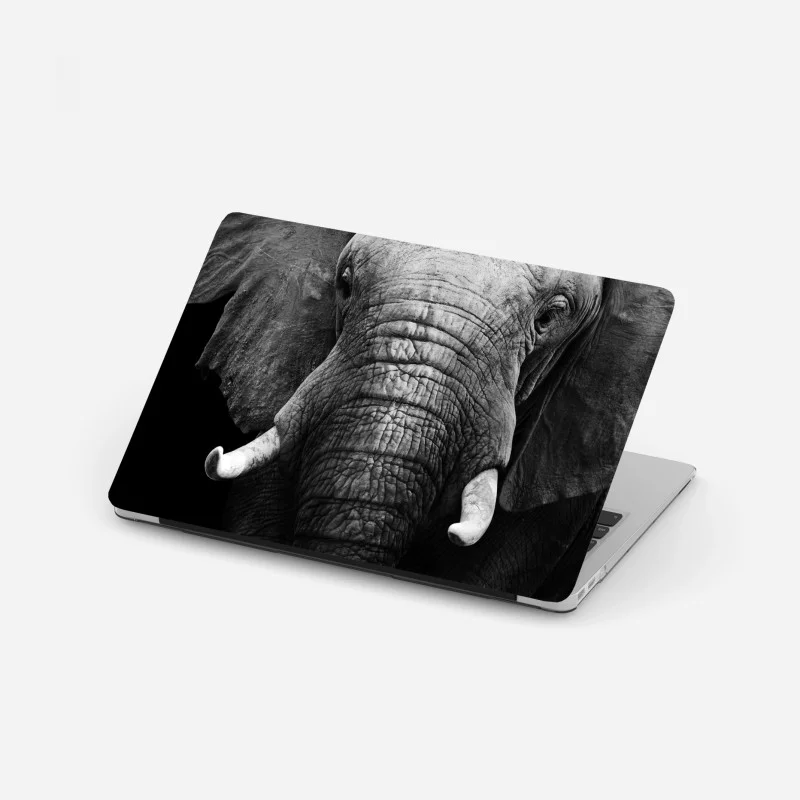 Laptop sticker majestic elephant close-up