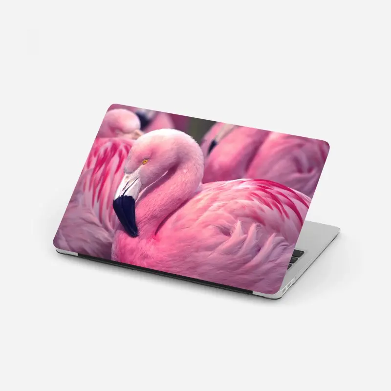 Laptop sticker pink flamingo close-up