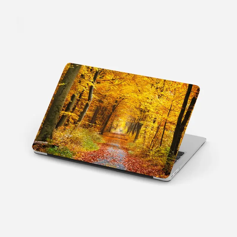 Laptop sticker golden autumn forest pathway
