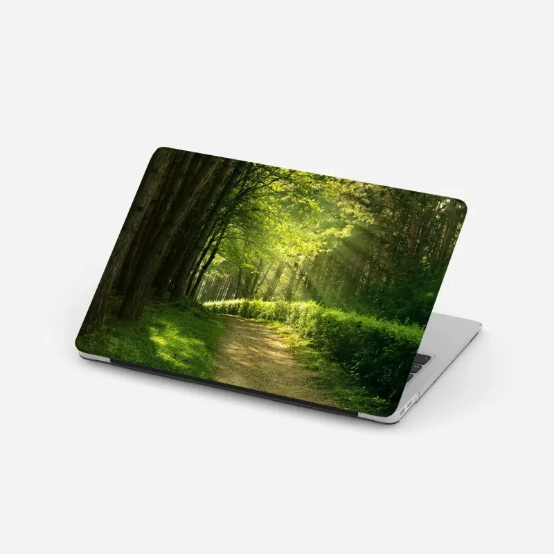 Laptop sticker sunlit forest path in green summer ⁕ Wallissimo® Laptop sticker sunlit forest path in green summer ⁕ Wallissimo®
