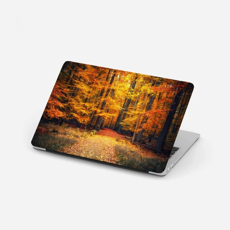 Laptop sticker autumn forest pathway with golden leaves