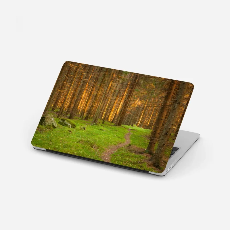 Laptop sticker golden light in mossy pine forest