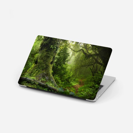 Laptop sticker mossy ancient forest path • Wallissimo®