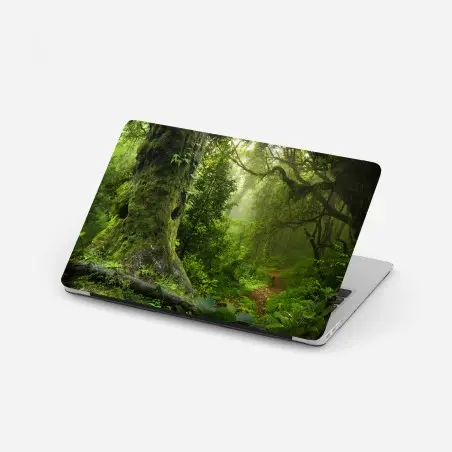 Laptop sticker mossy ancient forest path • Wallissimo®