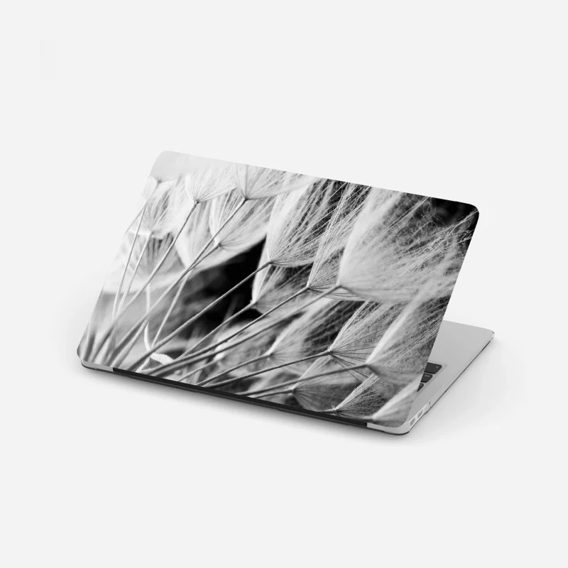Laptop sticker delicate dandelion seed close-up in monochrome