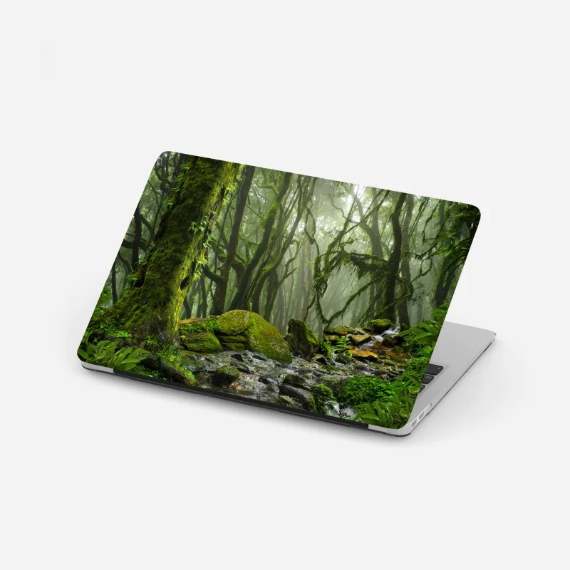 Laptop sticker mossy forest stream in morning mist