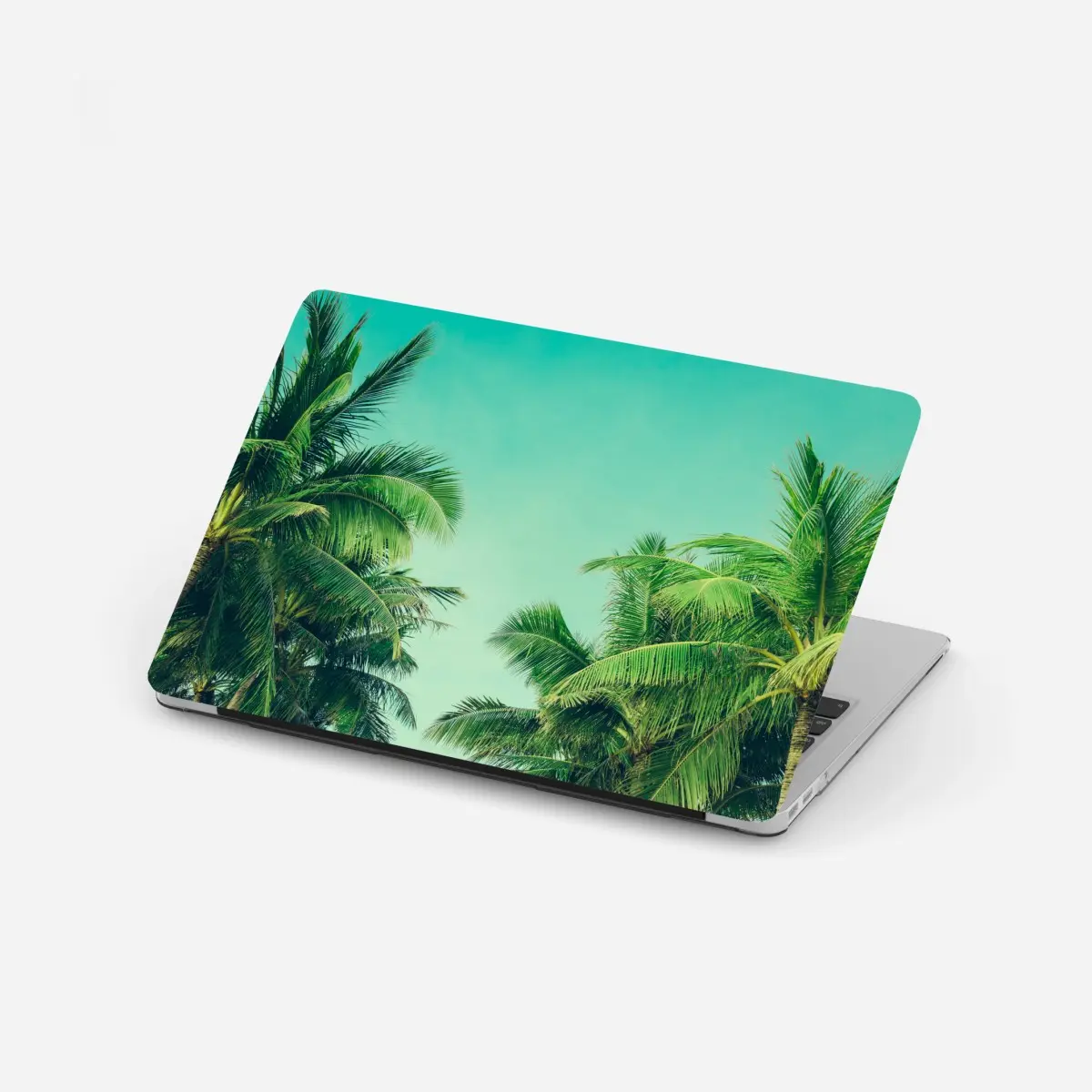 Laptop sticker tropical palm canopy under turquoise sky • Wallissimo® Laptop sticker tropical palm canopy under turquoise sky • Wallissimo®