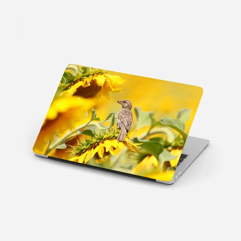 Laptop sticker sparrow on a sunflower