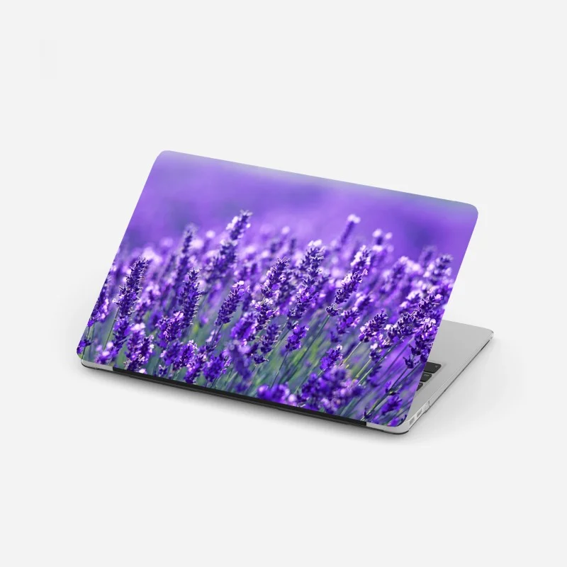 Laptop sticker lavender meadow close-up