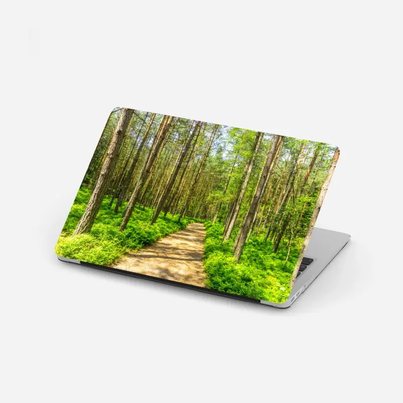 Laptop sticker sunlit forest path through green pines