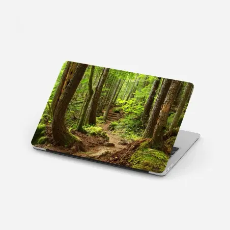 Laptop sticker mossy forest trail • Wallissimo®