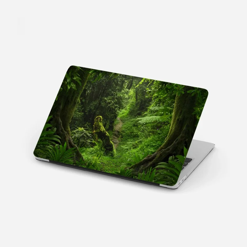 Laptop sticker enchanted mossy forest pathway