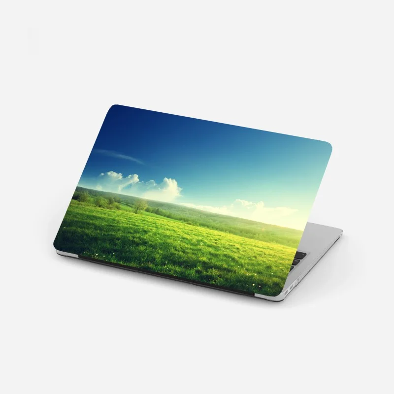 Laptop sticker sunlit spring meadow at sunset