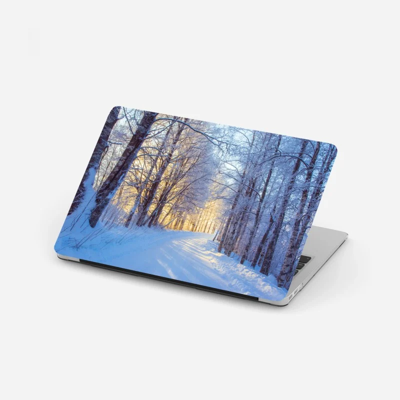 Laptop sticker winter birch forest pathway at sunrise