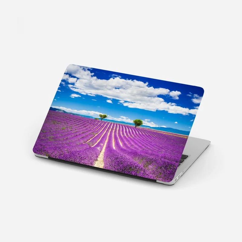 Laptop sticker lavender fields in Provence