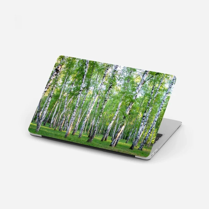 Laptop sticker serene birch grove in summer