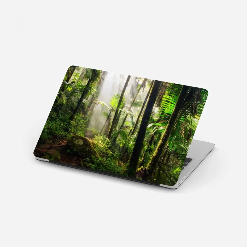 Laptop sticker tropical rainforest with sunbeams