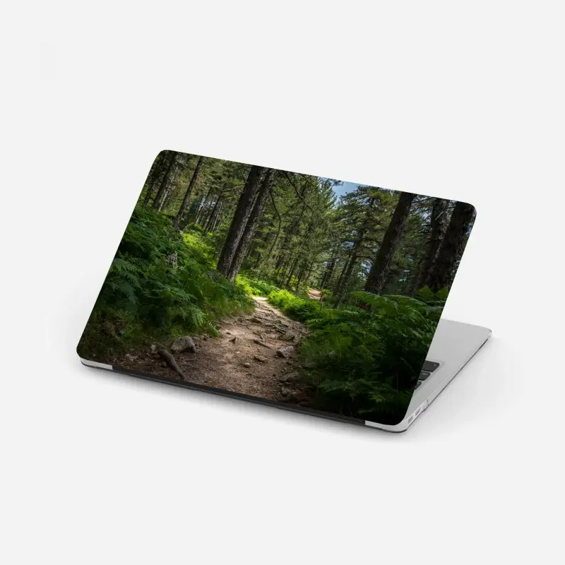 Laptop sticker serene forest path through lush greenery