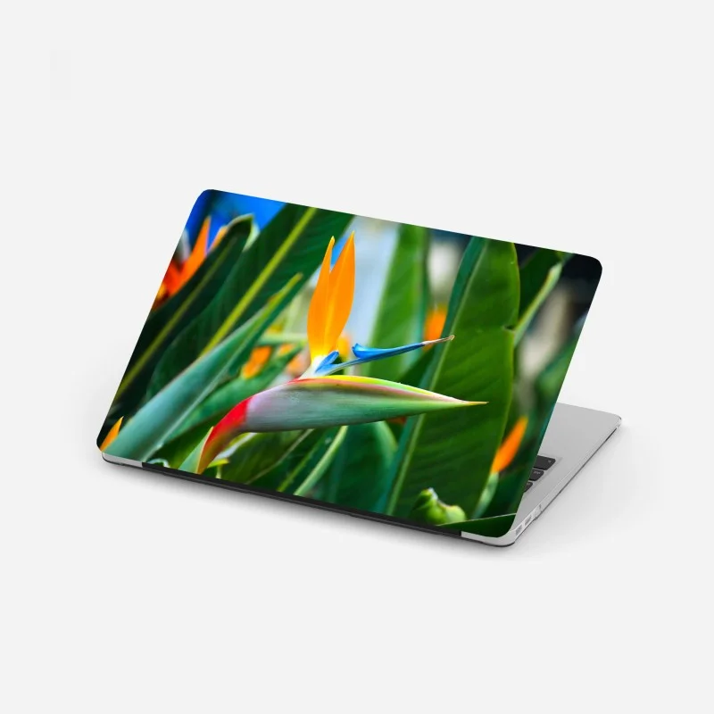 Laptop sticker vibrant bird of paradise flower