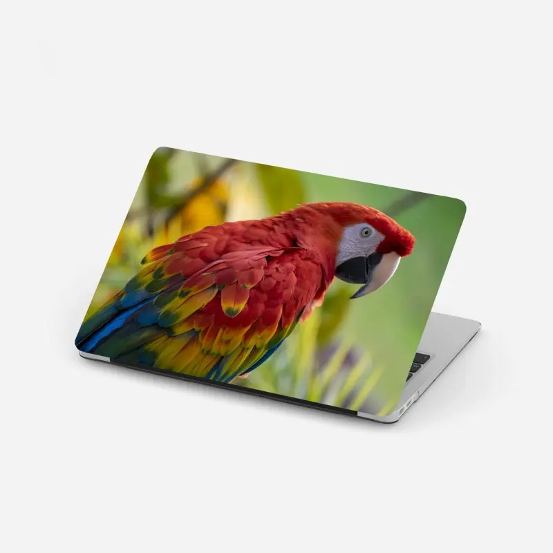 Laptop sticker vibrant scarlet macaw portrait