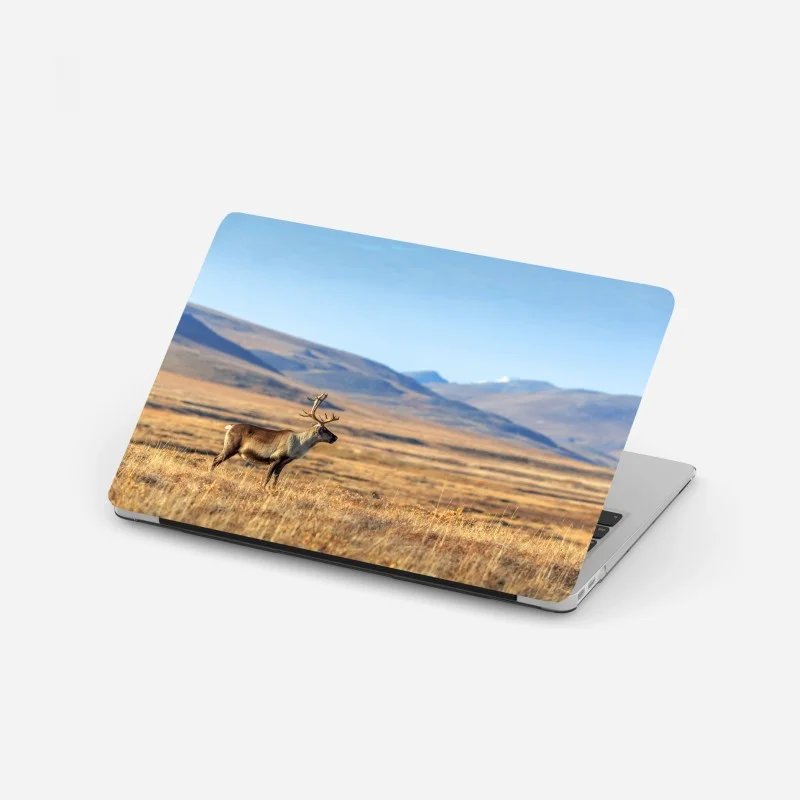 Laptop sticker lonely reindeer in Chukotka tundra