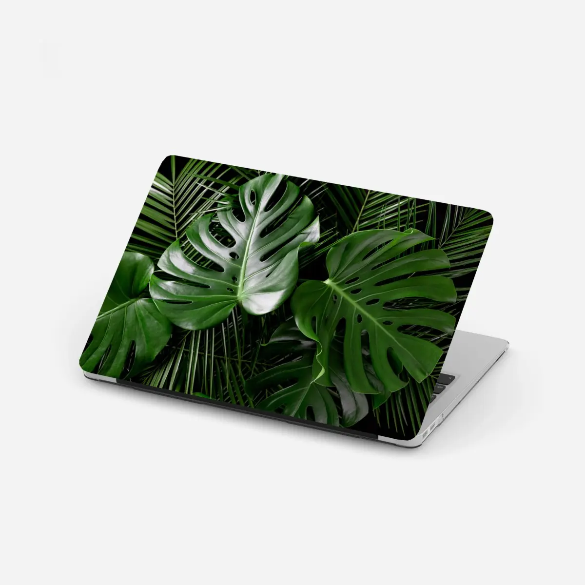 Laptop sticker lush monstera leaves composition • Wallissimo® Laptop sticker lush monstera leaves composition • Wallissimo®