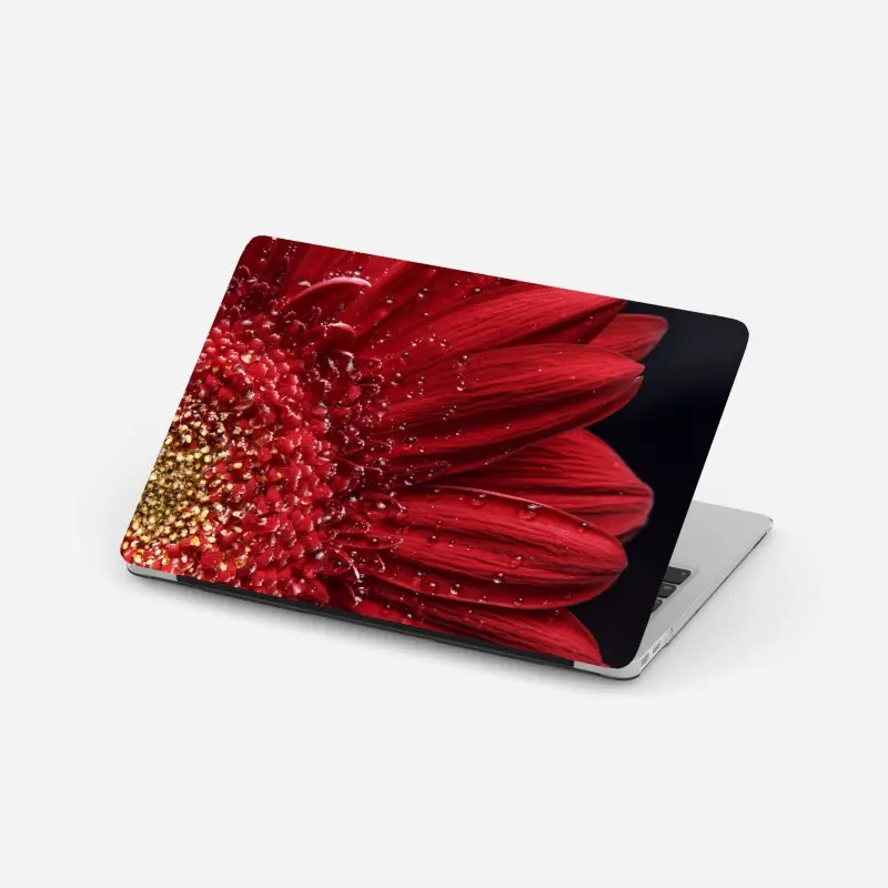 Laptop sticker red gerbera daisy close-up with dewdrops