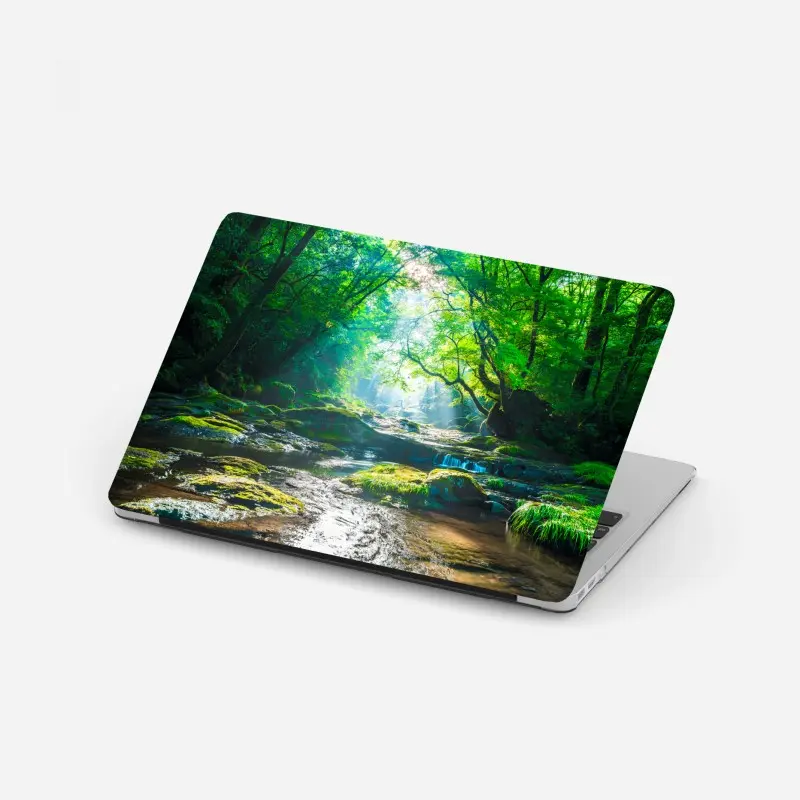 Laptop sticker sunlit forest stream with mossy rocks