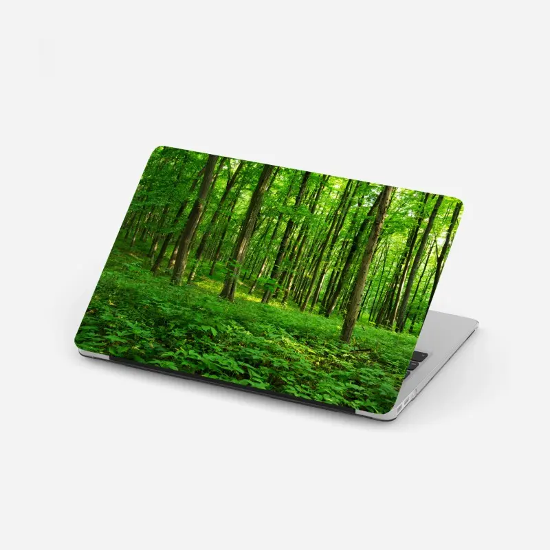Laptop sticker sunlit green forest in spring