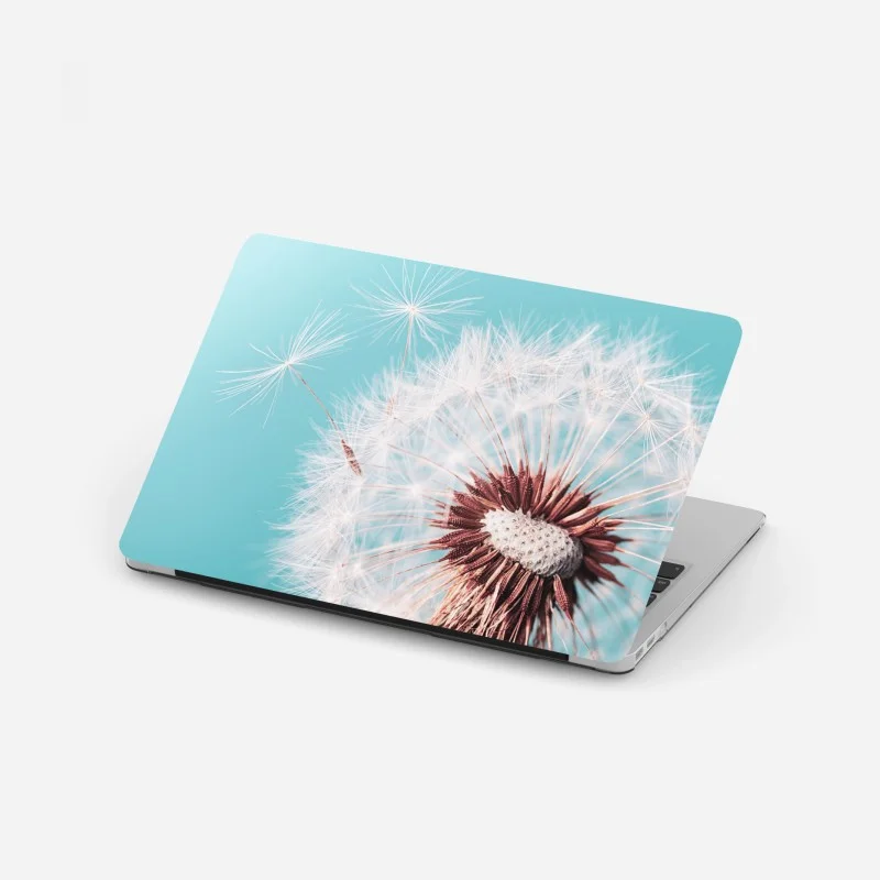 Laptop sticker delicate dandelion on turquoise background