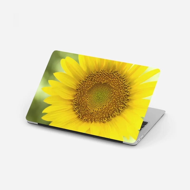 Laptop sticker red poppy meadow in sunlight • Wallissimo®