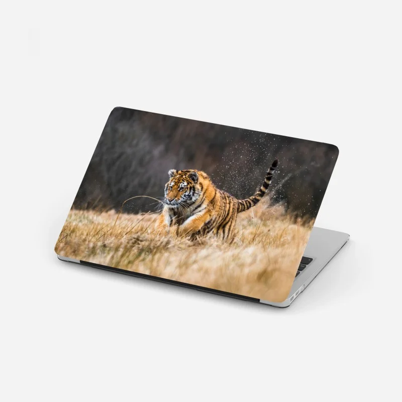 Laptop sticker Siberian tiger running through grass